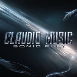 Sonic Fury