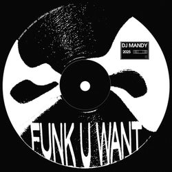 Funk U Want (Extended Mix)