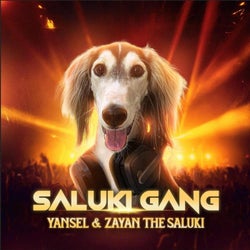 Saluki Gang (feat. Zayan The Saluki)