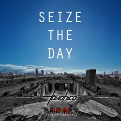 SEIZE THE DAY (Aftermath 311 Hardstyle)