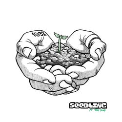 Seedling (feat. Troy Kingi)