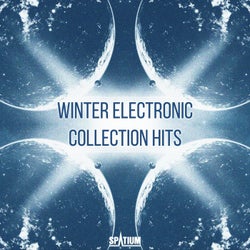 Winter Electronic Collection Hits