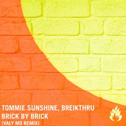 Brick by Brick (Valy Mo Remix)