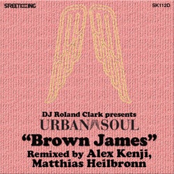 Brown James (Alex Kenji Rmx)