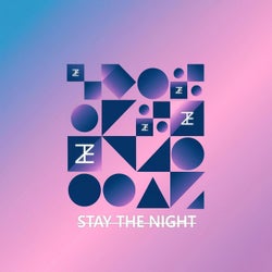 Stay The Night