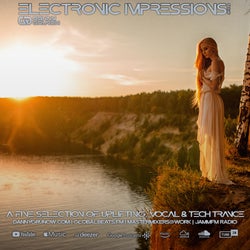 Electronic Impressions 919