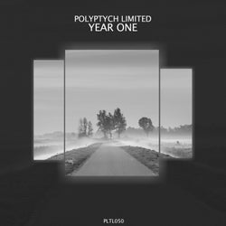 Polyptych Limited: Year One