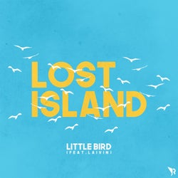Little Bird (feat. Laivin)