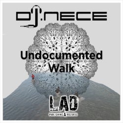 Undocumented Walk