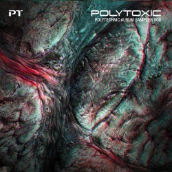 Polytoxic - Polytechnic Album Sampler 008