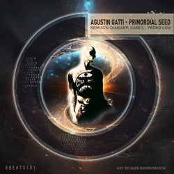 Primordial Seed
