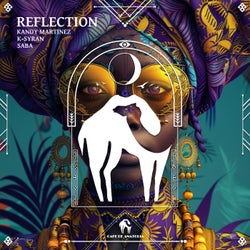 Reflection