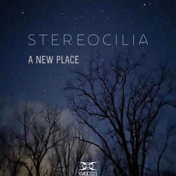 A New Place