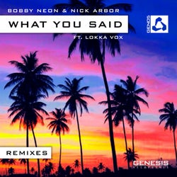 What You Said (feat. Lokka Vox) [Remixes]