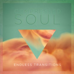 Endless Transitions