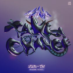 Take A Chance - Maesic Extended Remix