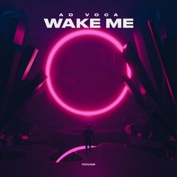 Wake Me (Extended Mix)