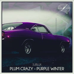 Plum Crazy & Purple Winter