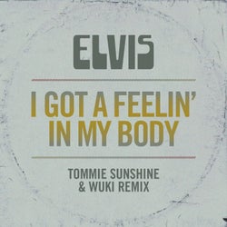 I Got A Feelin' In My Body - Tommie Sunshine & Wuki Remix
