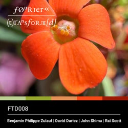 Fourier Transform(d) Eight