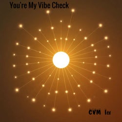 You're My Vibe Check
