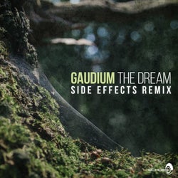 The Dream (Side Effects Remix)