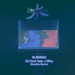 Burning (Bandito Remix)