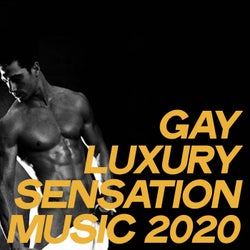 Gay Luxury Sensation Music 2020 (Relax Lounge Music Sensation 2020)