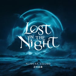 Lost in the night