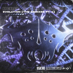 Evolution (The Remixes, Pt. 1)