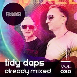Already Mixed Vol.30 (Compiled & Mixed By Tidy Daps)