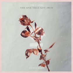 The One That Got Away (Pilton Remix)