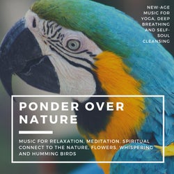 Ponder Over Nature (Music For Relaxation, Meditation, Spiritual Connect To The Nature, Flowers, Whispering And Humming Birds) (New-Age Music For Yoga, Deep Breathing And Self-Soul Cleansing)