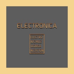 ELECTRONICA 1