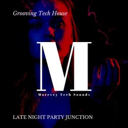 Grooving Tech House - Late Night Party Junction