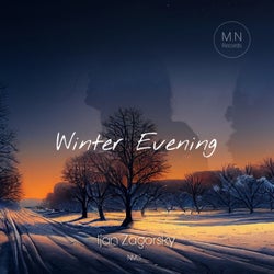 Winter Evening