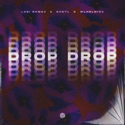 Drop Drop (Extended Mix)