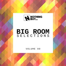 Nothing But... Big Room Selections, Vol. 09