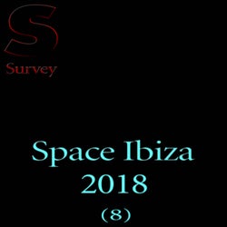 Space Ibiza 2018 (8)