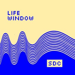 Life Window (Extended Version)