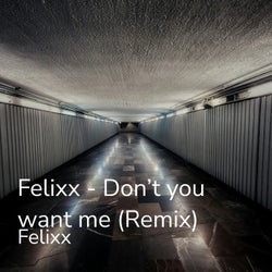 Don't You Want Me (Remix)
