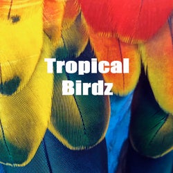 Tropical Birdz