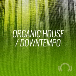 Crate Diggers: Organic House / Downtempo
