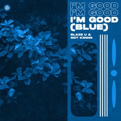 I'm Good (Blue) [Extended Mix]