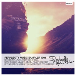 Perplexity Music Sampler #001