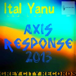 Axis Responses 2013