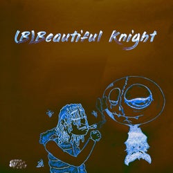 (B)Beautiful Knight