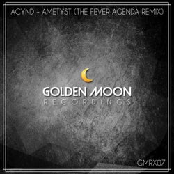 Ametyst (The Fever Agenda Remix)