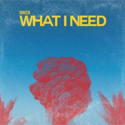 What I Need (Extended)
