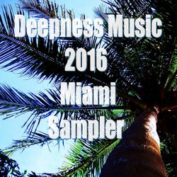 2016 Miami Sampler